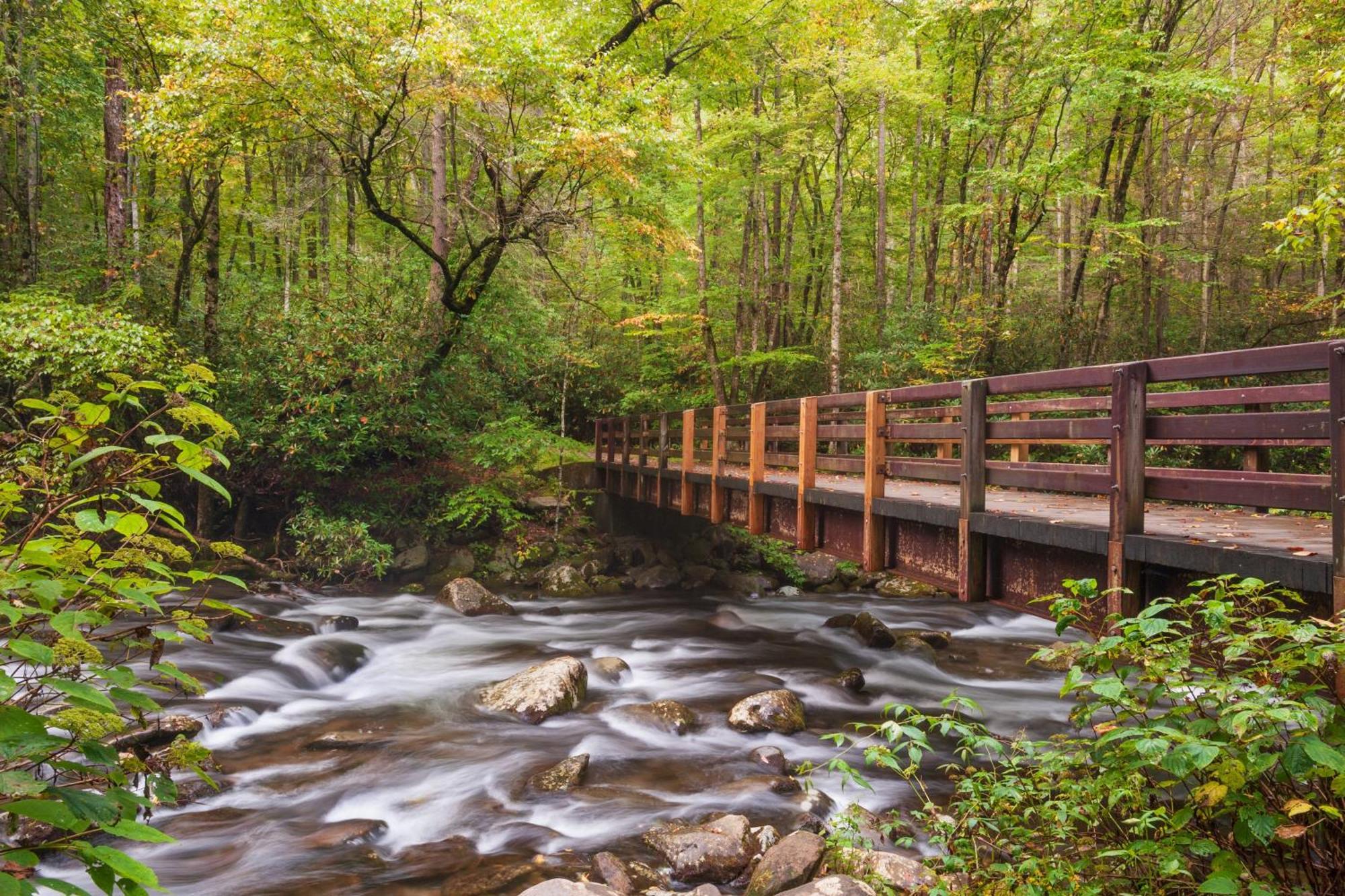 Majestic Splash- 8 Bedroom, Indoor Pool, Hot Tub, 1089 Free Tickets Each Paid Day, Dollywood Sevierville Bagian luar foto